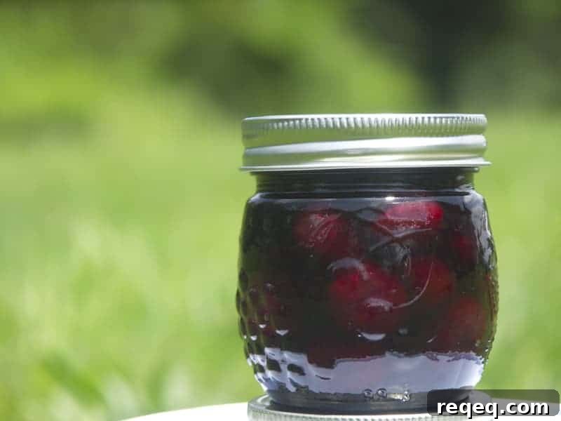 Rum Soaked Preserved Cherries + Boozy Cherry Molasses Rum Soaked Preserved Cherries + Boozy Cherry Molasses