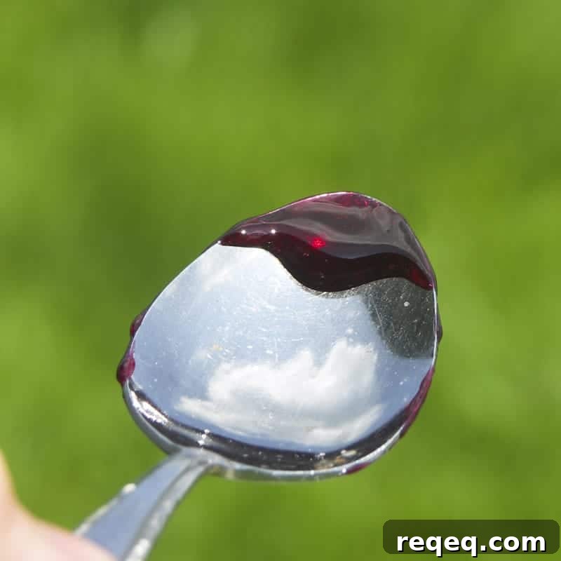 Rum Soaked Preserved Cherries + Boozy Cherry Molasses Rum Soaked Preserved Cherries + Boozy Cherry Molasses