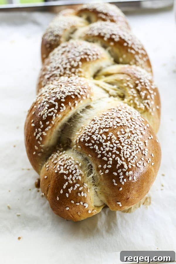 Sesame Semolina Loaf Recipe: Crispy Crust, Tender Crumb 3 Sesame Semolina Braided Bread from foodiewithfamily.com