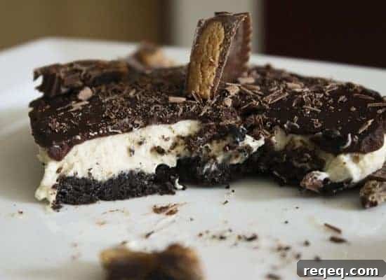 pbcupnobakecheesecake5 img 6078 3