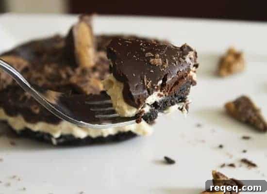 pbcupnobakecheesecake2 img 6078 5