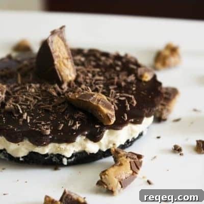 No-Bake Mini Peanut Butter Cup Cheesecakes 2 img 6078 6