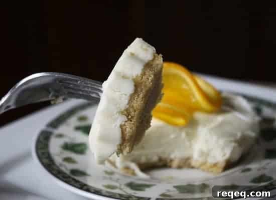 Orangevanillacreamsiclenobakecheesecake1 img 6319 2