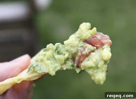 guacamolechips2 img 6488 2