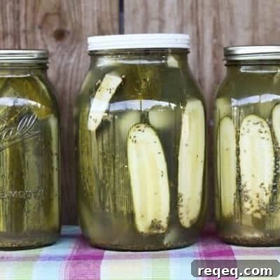 Copycat Claussen Pickles Recipe: Crisp Refrigerator Pickles You Can Make at Home 7 Homemade Claussen Knock-off Pickles are dead crunchy, garlicky, salty, and the perfect accompaniment to any sandwich on earth. Plus they're easy enough for beginner food preservationists!