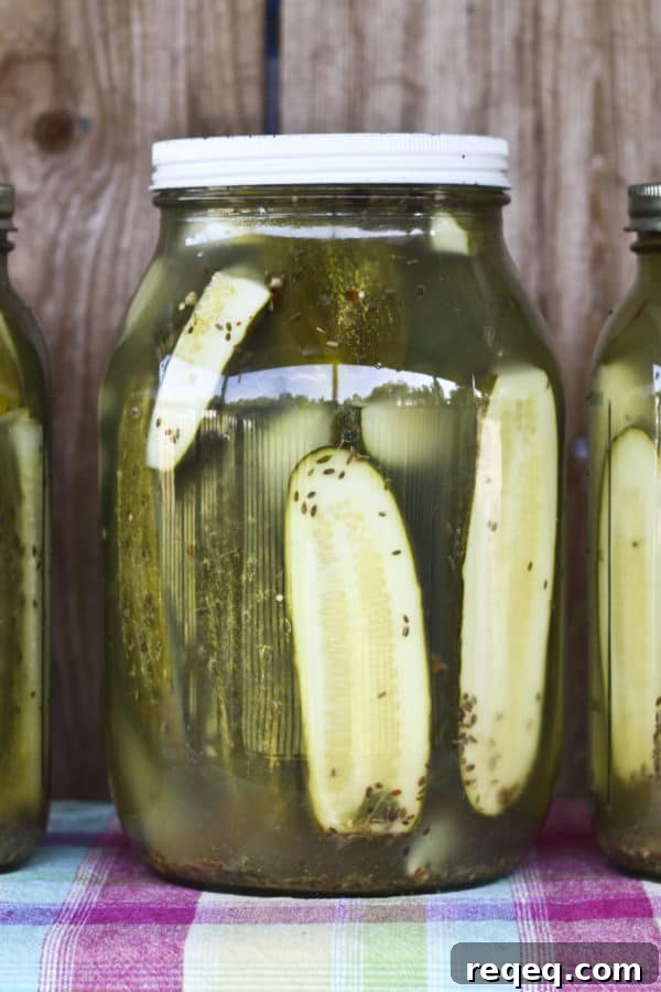 Copycat Claussen Pickles Recipe: Crisp Refrigerator Pickles You Can Make at Home 2 Homemade half sour pickles in jars