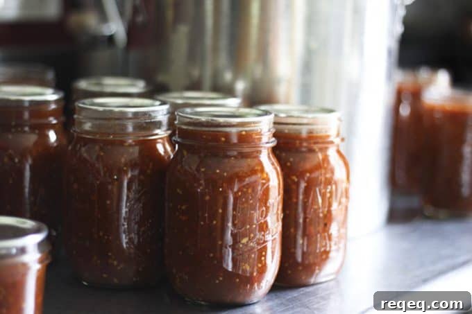 Smoky Roasted Salsa Recipe — Bold Fire-Roasted Tomato Salsa 2 Smoky Roasted Salsa