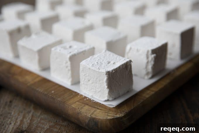 How to Make Soft, Fluffy Homemade Marshmallows at Home 6 These Homemade Marshmallows are the only marshmallow you'll ever want from this day forward. Creamy, lofty, and light-as-air, you can customize the flavours any way you'd like.