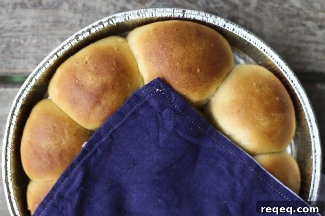 Honey potato rolls