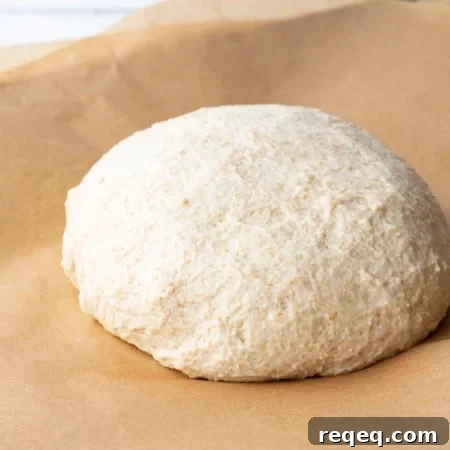 This whole wheat pizza dough yields our family's favourite pizza crust; crispy and chewy, flavourful crust that holds up to anything you put on it.