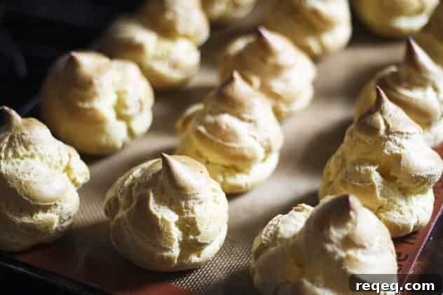 Classic French Profiteroles Recipe: Cream-Filled Choux Pastry Dessert 10 img 8683 9