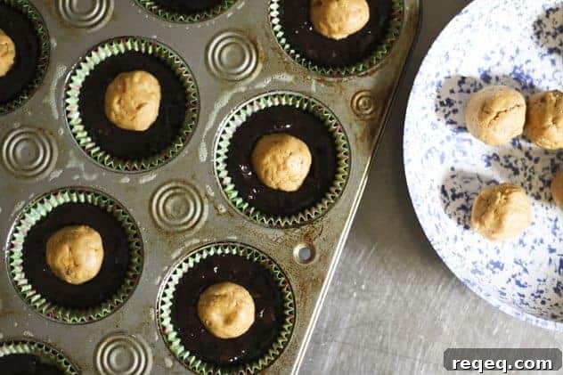 fudgypeanutbuttercupbrownies2 img 9040 2