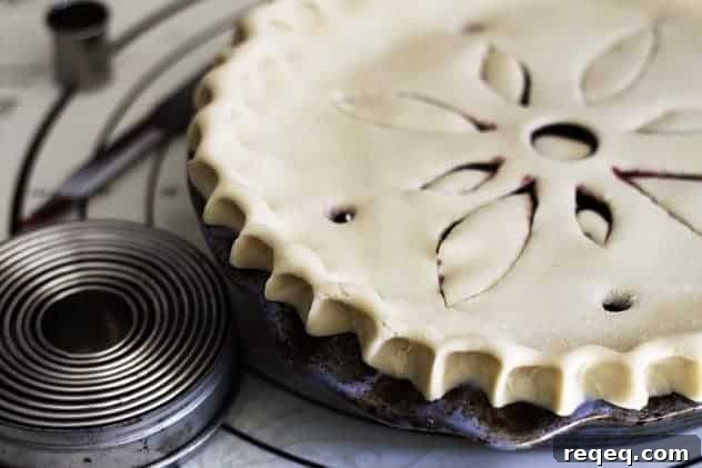 img 9508 4