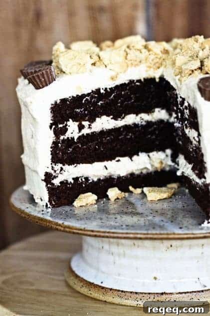 Chocolate Nutter Butter Cake 2 img 9725 1