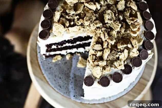 Decadent Chocolate Nutter Butter Cake Recipe for Chocolate Lovers 2 img 9725 2