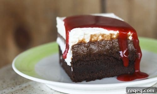 Zombie Apocalypse Chocolate Tres Leches Cake Recipe 2 img 9868 3